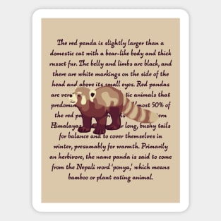 Red Panda Info Magnet